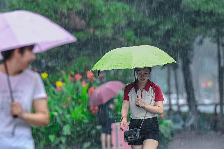 沈阳：出伏首场雨，阵阵送秋凉