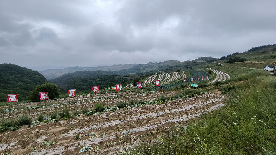 天水秦州：田间地头见秋收 沃野田畴绘“丰”景_fororder_图片1