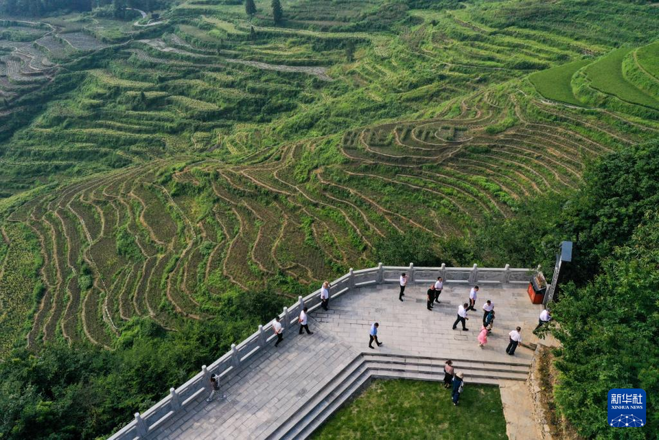 重庆酉阳：农文旅融合让乡村焕发新活力