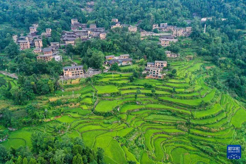 重庆酉阳：农文旅融合让乡村焕发新活力