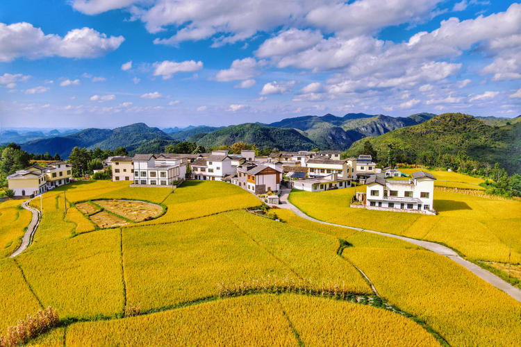 在高坡梯田中，追一次橘子味日落