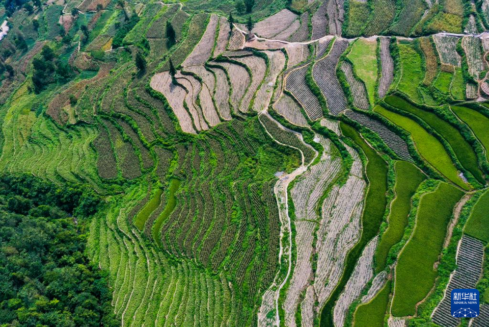 重庆酉阳：农文旅融合让乡村焕发新活力