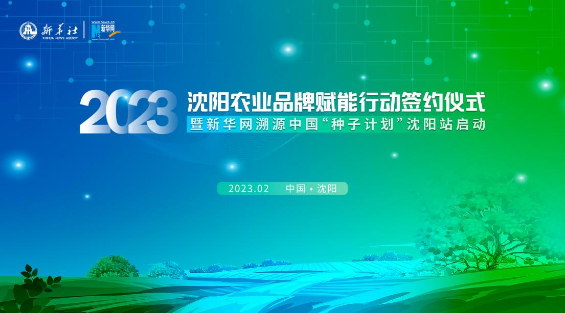 让农业高质量发展成色更足——沈阳发力农产品品牌建设“新赛道”