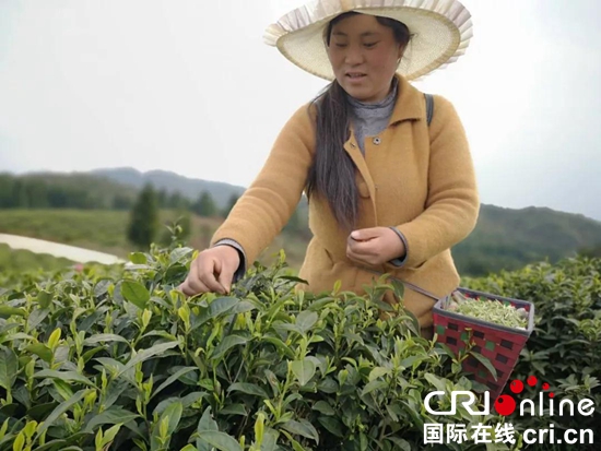 贵州水城 ：绿水青山换来金山银山