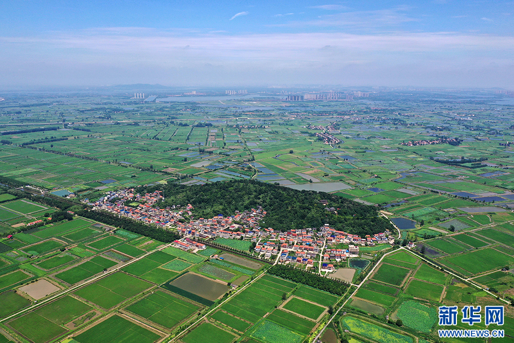 向“美”而行 湖北鄂州全力建设和美乡村