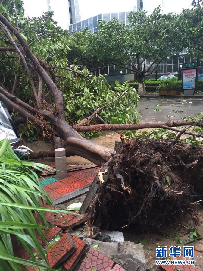 台风“莫兰蒂”在福建厦门登陆