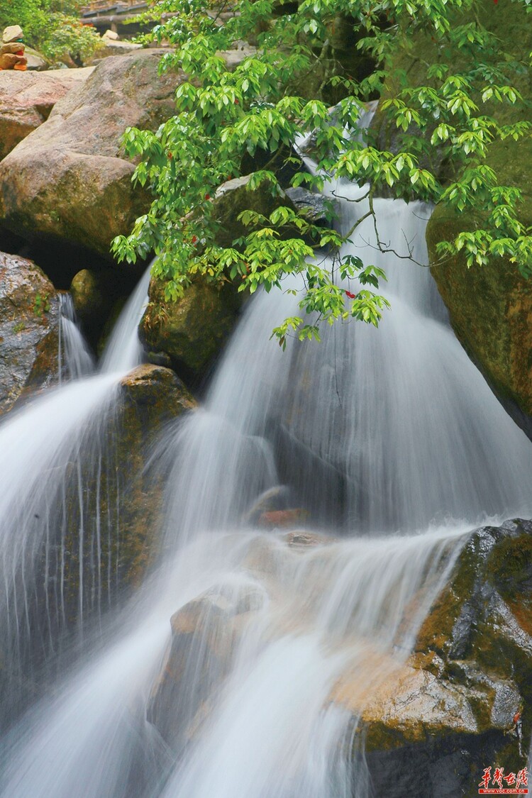 湖南郴州：山水画卷 天下莽山