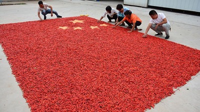 Luoyang: Yichuan farmers make national flag with peppers