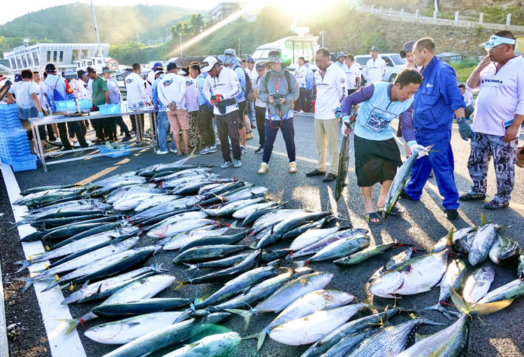 大连：海钓赛手，抛竿竞技