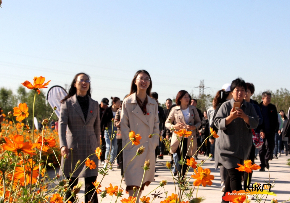 【壮丽70年 奋斗新时代】三重景别的唐山花海新画卷