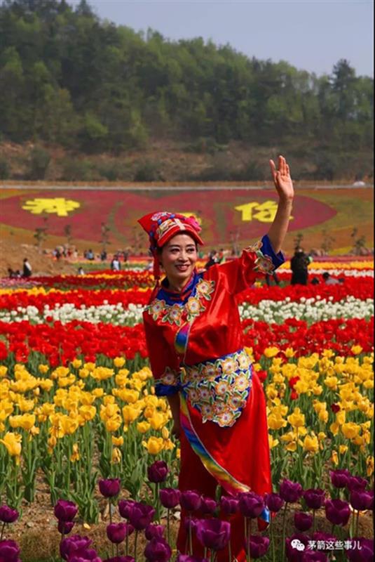 【十堰】【汽车旅游】茅箭秦巴植物王国开园