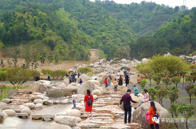 【十堰】【汽车旅游】茅箭秦巴植物王国开园