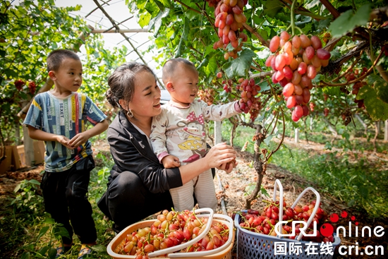 贵州天柱：激活千亩坝区经济有高招（组图）