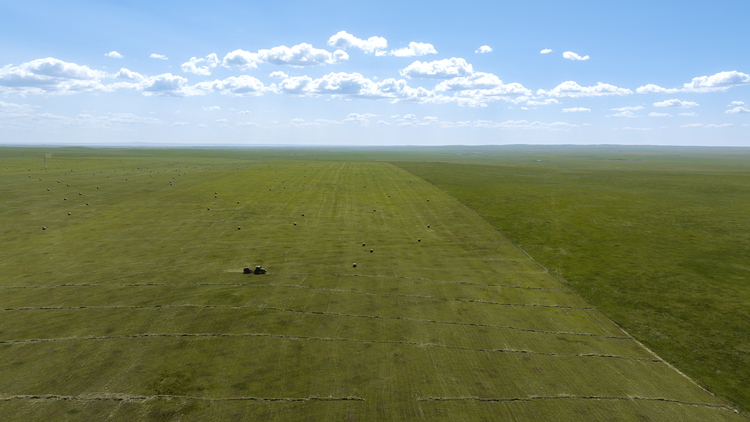 新巴尔虎右旗：金秋打草季 处处好“丰”景_fororder_DJI_20230826112845_0156_D-已增强-NR.JPG