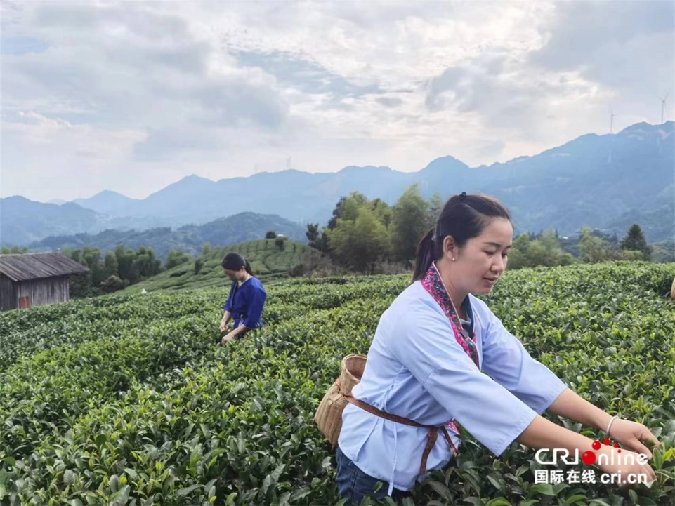 【多彩民族有多彩】广西：侗乡百般风情汇三江_fororder_图片2