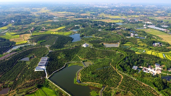 【原创】信阳市光山县：“油茶果”绘就乡村振兴新画卷_fororder_图片1