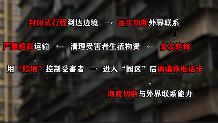 2023年国家网络安全宣传周丨缅北电信诈骗亲历者讲述真实的《孤注一掷》