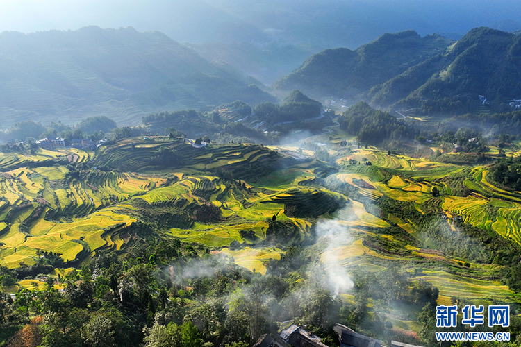 重庆：万亩梯田如画卷 巴渝山乡好“丰”景