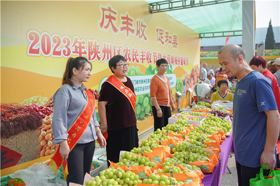 三门峡市陕州区中国农民丰收节暨大营镇城村葡萄节开幕_fororder_特色农产品展销 摄影 王保龙