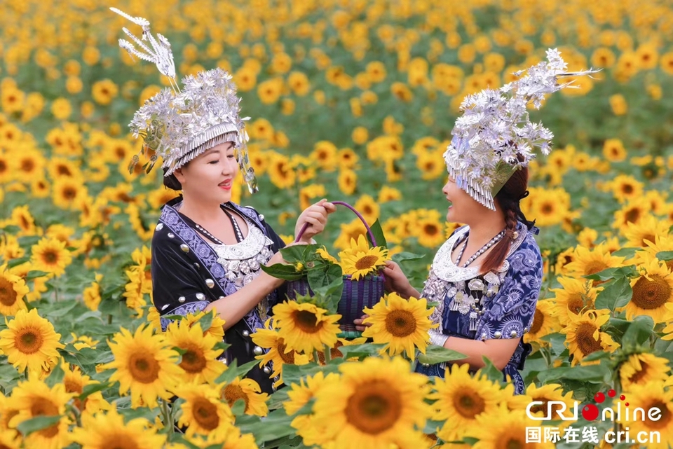 贵州钟山：60余亩向日葵花海成市民新“打卡地”_fororder_微信图片_20230914161316