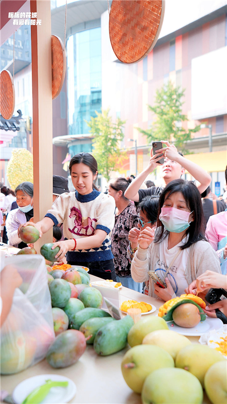 秋日沈阳、遇见仁和 攀枝花市仁和区城市推介活动走进沈阳_fororder_攀枝花4