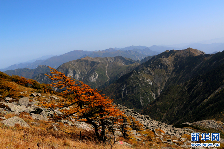 秦岭朱雀景 漫山秋色层林尽染