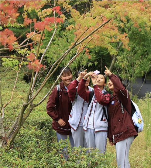 （供稿 旅游列表 三吴大地南京 移动版）南京第十九届“秋栖霞”红枫艺术节开幕