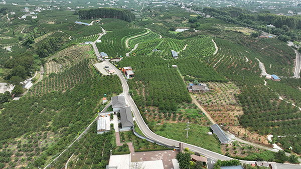 眉山丹棱：农村路网越织越密 农业产业越做越强_fororder_航拍道路农村道路-供图-丹棱县委宣传部