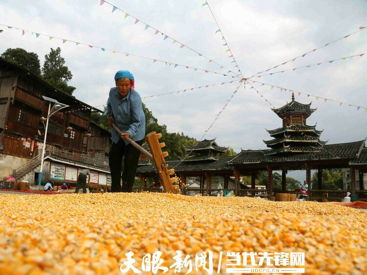 五彩斑斓的画卷，是贵州好“丰”景