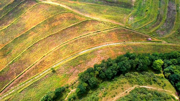 【原创】天水清水：小蚕豆变身富民大产业_fororder_天1