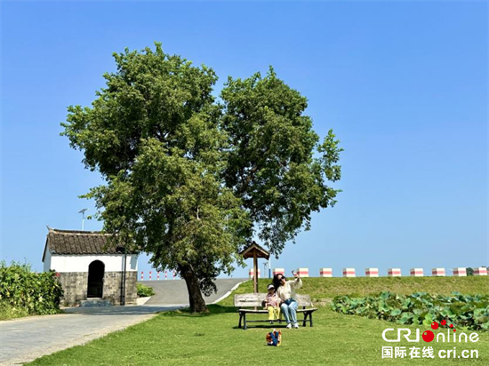 风光正美好 南京乡村旅游提质升级再出发_fororder_微信图片_20230919154755