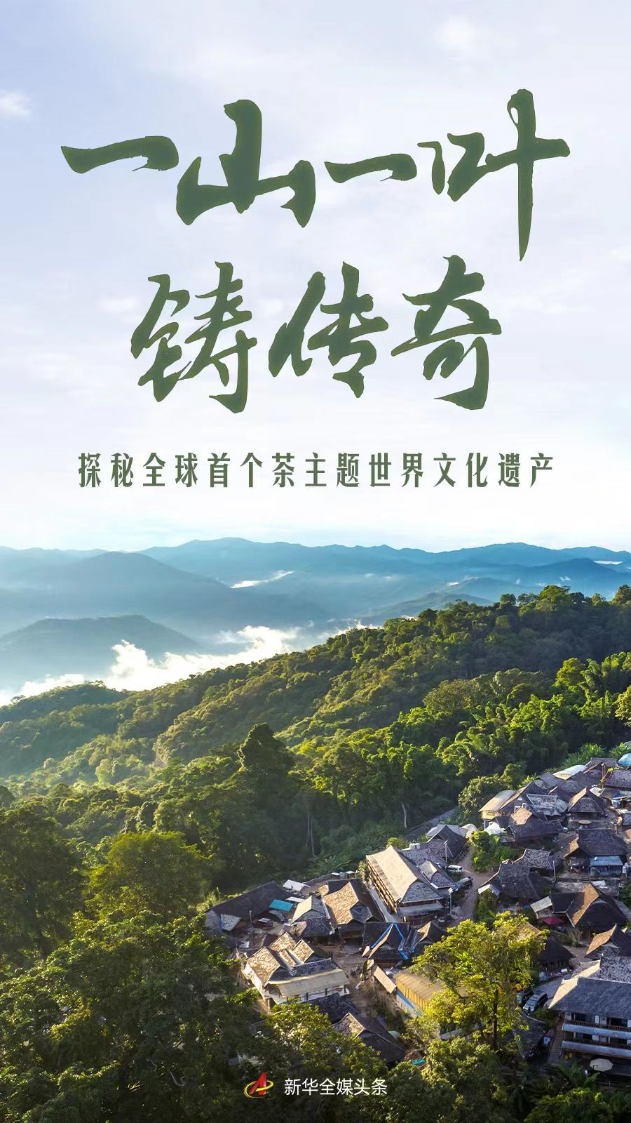 一山一叶铸传奇——探秘全球首个茶主题世界文化遗产