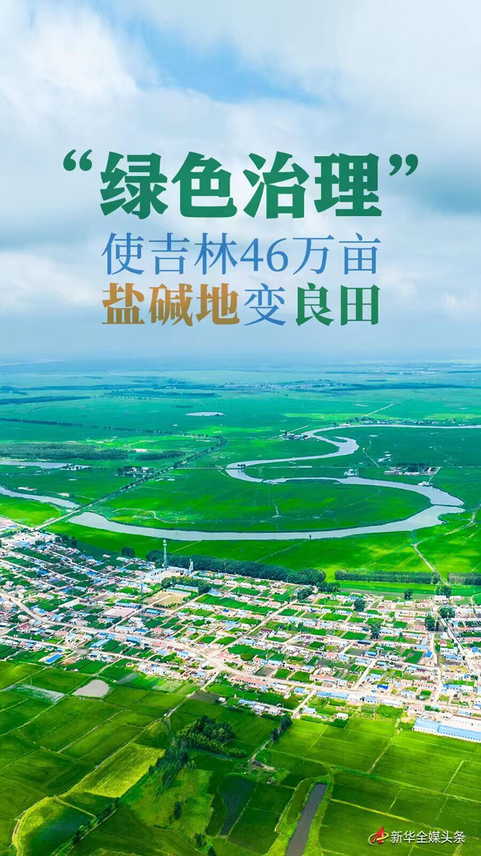 天空之眼看吉林丨白城：“盐碱地”崛起“大粮仓”