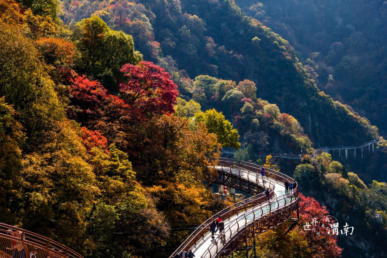 산시 웨이난, 가을 분위기로 한껏 물든 첩첩산중_fororder_图片3