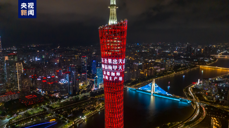 从南海之滨到天山南麓 看粤疆同心 山海情长