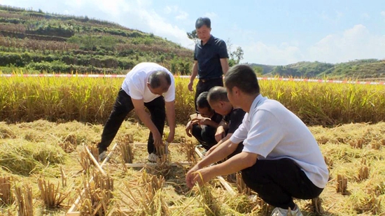 贵州瓮安举行2023年农民丰收节暨粮食作物（水稻）机收减损大宣传大培训大比武活动_fororder_4