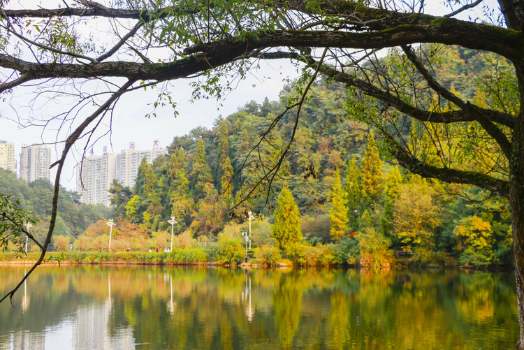 秋游观山湖公园 赏景旅拍两不误