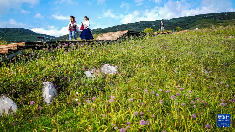 贵州钟山：韭菜花开迎客来