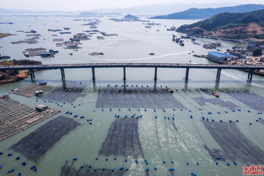 东安岛跨海大桥通车