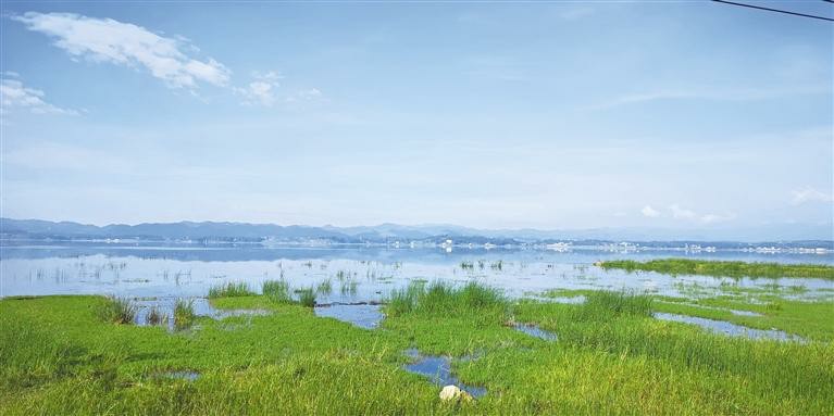 依法保护湿地 共享绿色空间 ——贵州开展第8个湿地保护宣传周活动_fororder_生态1