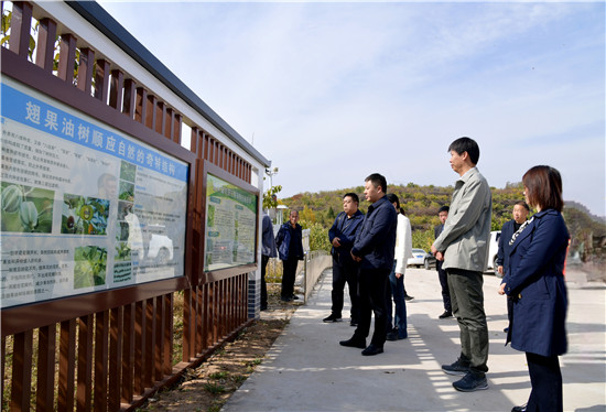 三门峡示范区阳店镇：外出观摩取真经 拓宽思路谋发展_fororder_观摩团在乡宁县西交口乡参观翅果油树种植基地 摄影 彭红勇