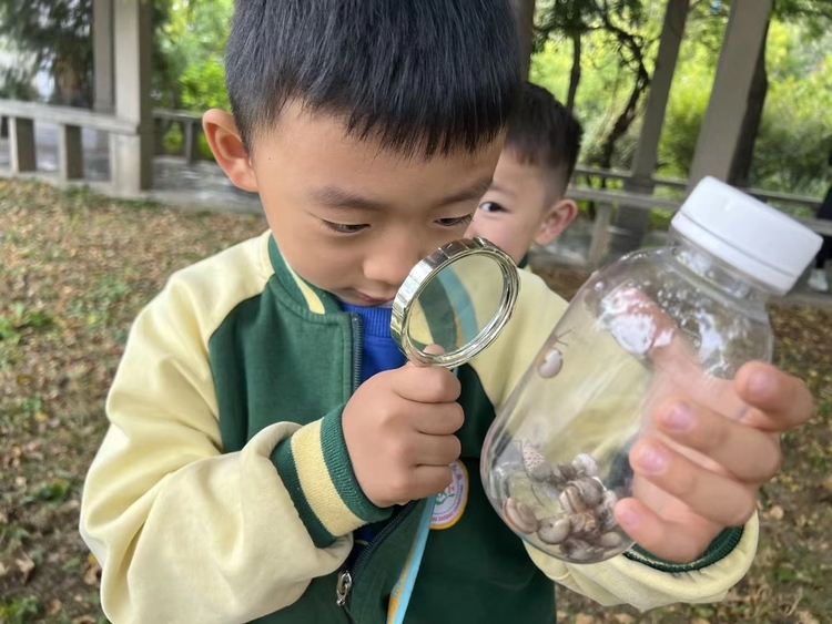 图片默认标题_fororder_满城区直属幼儿园孩子们近距离观察蜗牛 摄影 陈占良