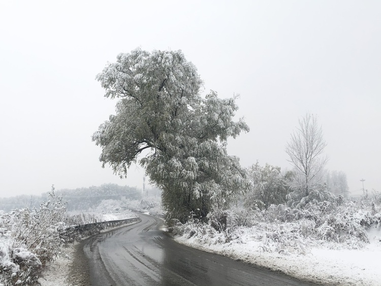 喜迎入冬第一场大雪 长春变成“白富美”！