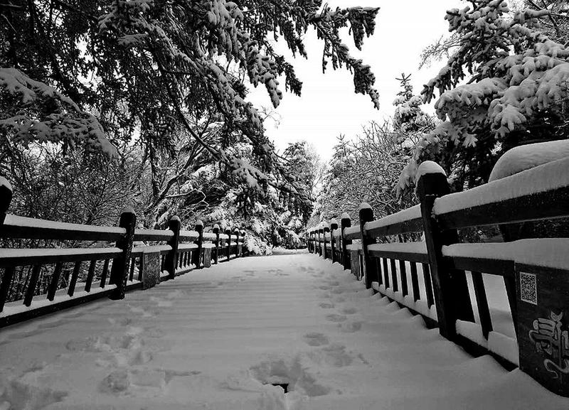 【旅游 显示图在稿件最下方】飞雪暴雨大风沙尘霜冻烈日 清明三天假期陕西“穿越”四季