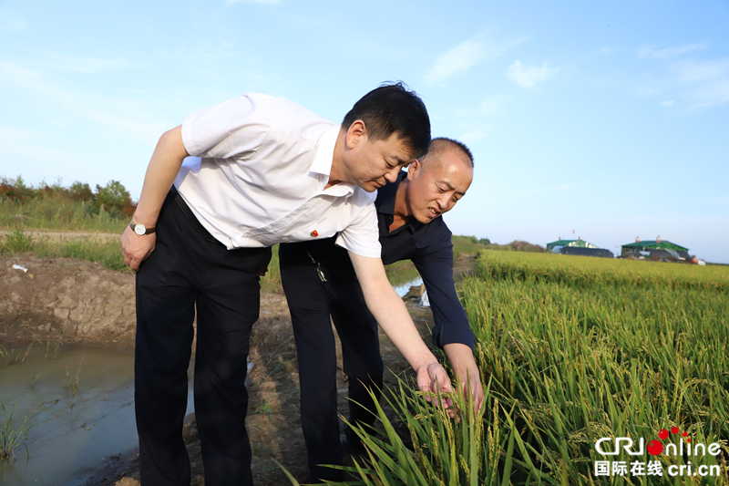 【黑龙江】【原创】建三江农商银行：富农兴垦 擎起金融主力军的时代大旗