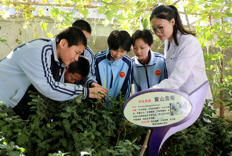 石家庄市桥西区：中医药文化进校园_fororder_图片5