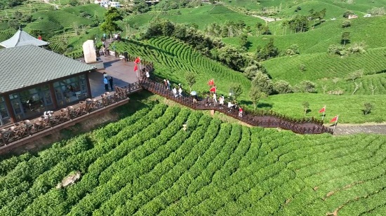 【原创】信阳市浉河区：“双节”文旅消费持续升温 实现旅游总收入5.23亿元_fororder_文新茶村游客火爆  戴梯 摄.JPG