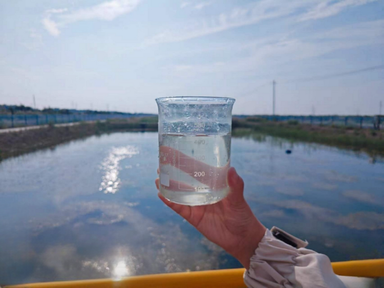 沧州渤海新区黄骅市南大港：人工湿地开启生态治河新篇章_fororder_图片10