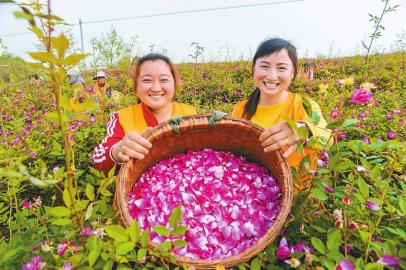 花开巴蜀 春满天府