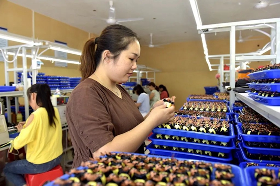 贵州镇远：三举措推进易地扶贫搬迁安置区后续扶持见成效_fororder_搬迁群众在社区家门口务工（吴贤和 摄）